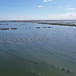 Sirena Lägenhet