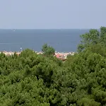 Sirena