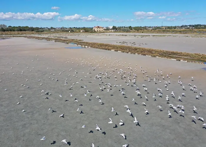 Apartment Sirena Llido Degli Estensi
