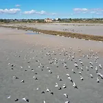 Διαμέρισμα Sirena Llido Degli Estensi
