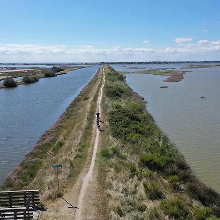 Sirena ليدو ديلي ايستينسي