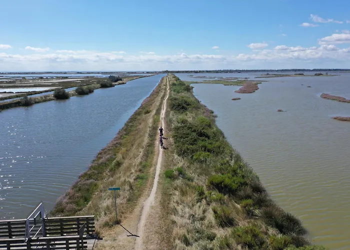 Sirena ليدو ديلي ايستينسي